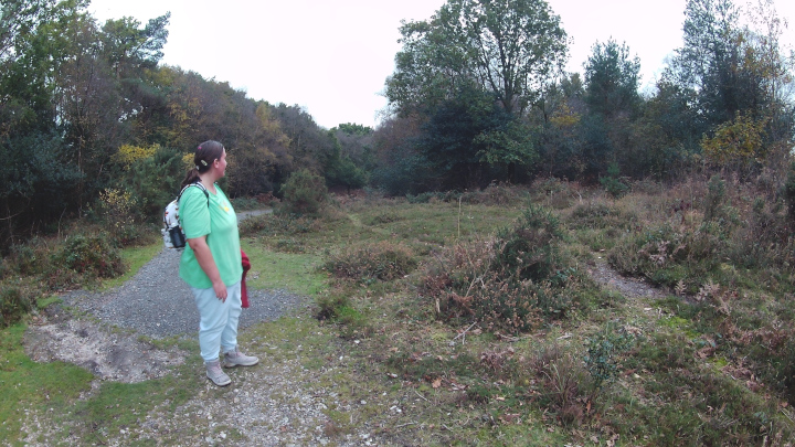 Thorncombe Wood