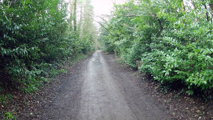 The Castleman Trialway near Broadstone Roundabout
