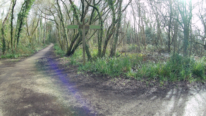The Castleman Trailway southwest of Broadstone