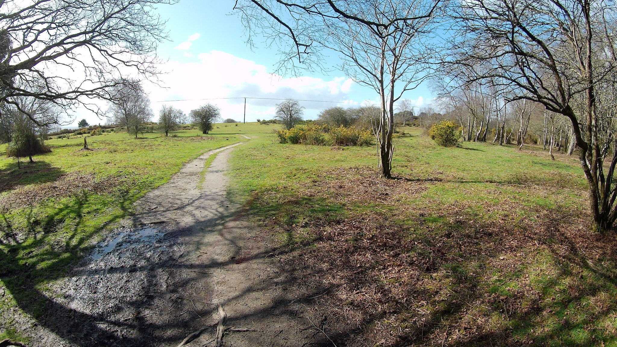 Upton Heath near Beacon Road