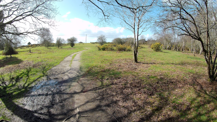 Upton Heath near Beacon Road