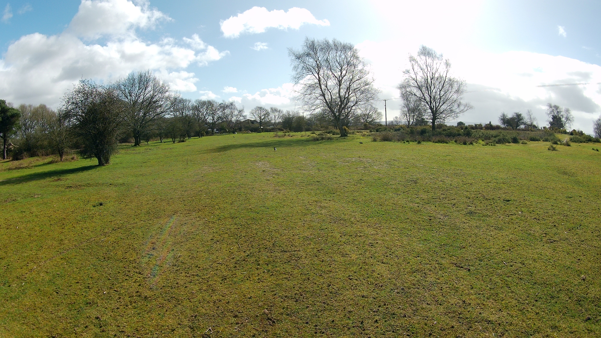 Upton Heath near Beacon Road