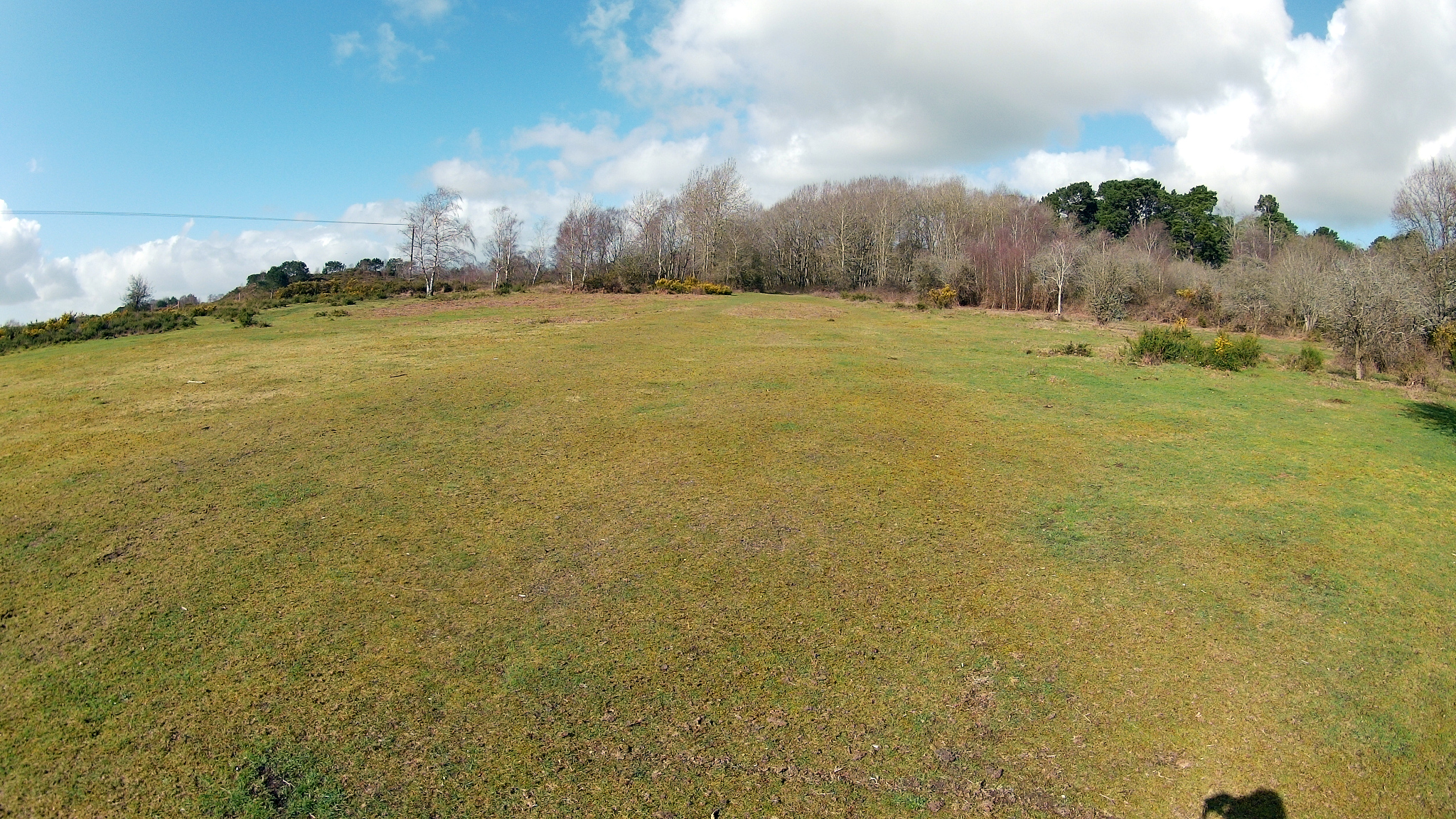 Upton Heath near Beacon Road