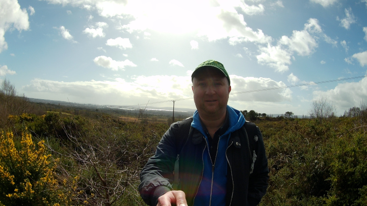 Viewpoint overlooking Upton Heath and Upton Lake