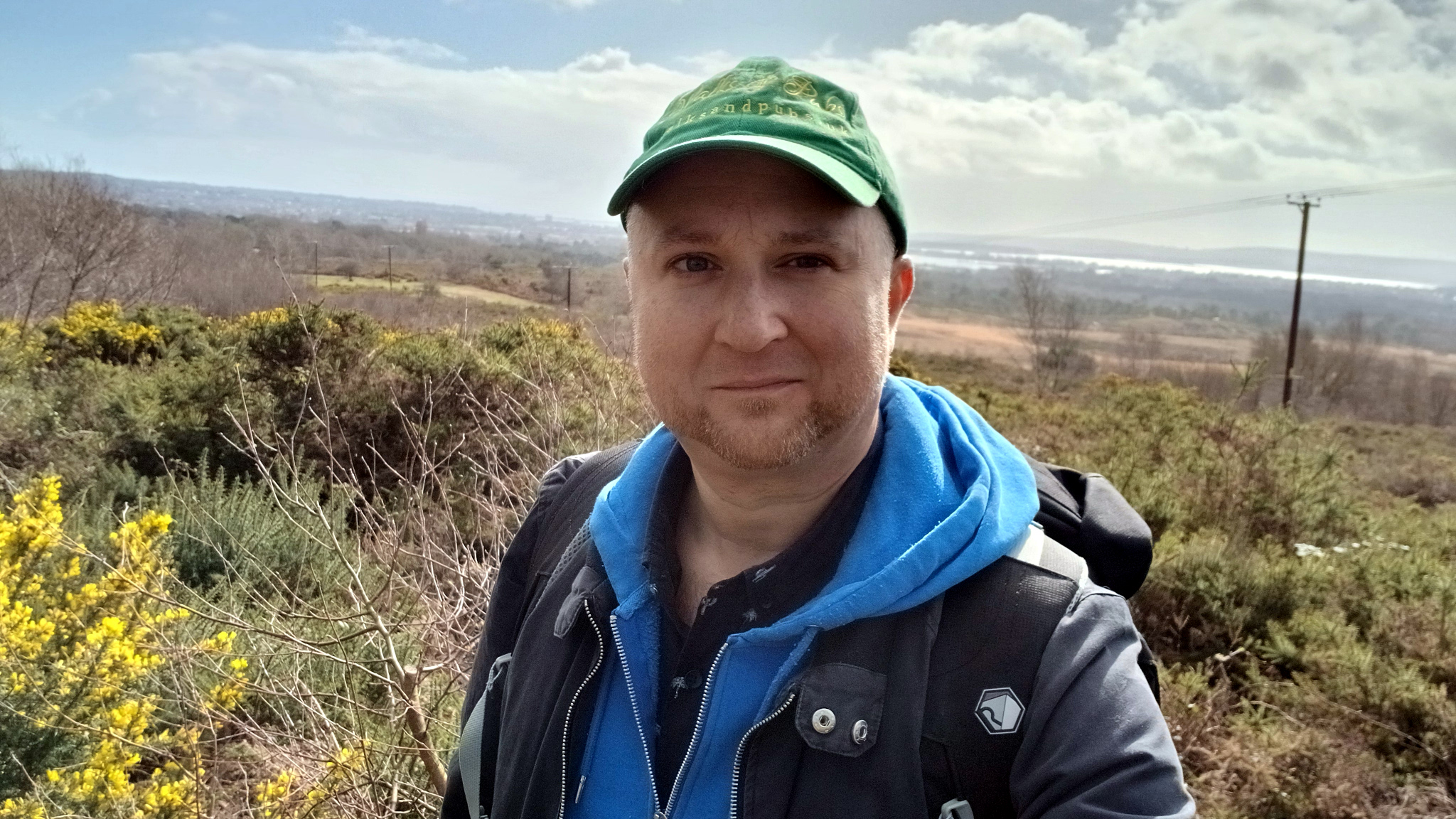 Viewpoint overlooking Upton Heath and Upton Lake