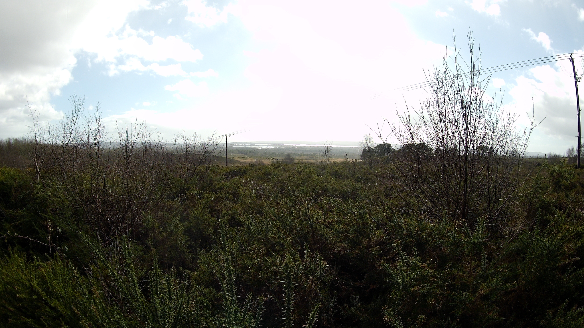 Viewpoint overlooking Upton Heath and Upton Lake