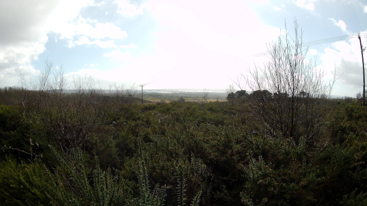 Viewpoint overlooking Upton Heath and Upton Lake