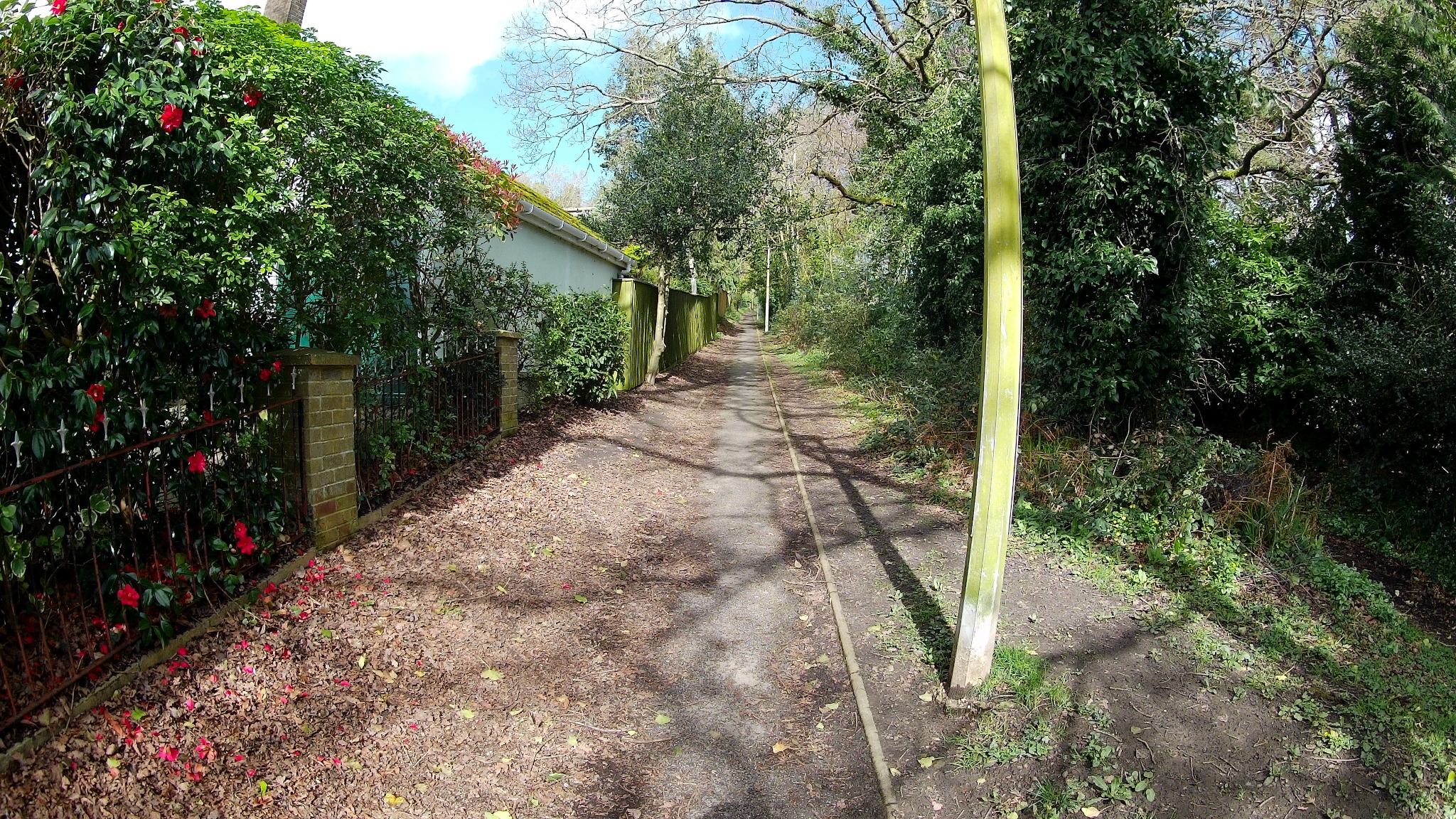 The Roman Road near Gladelands Way