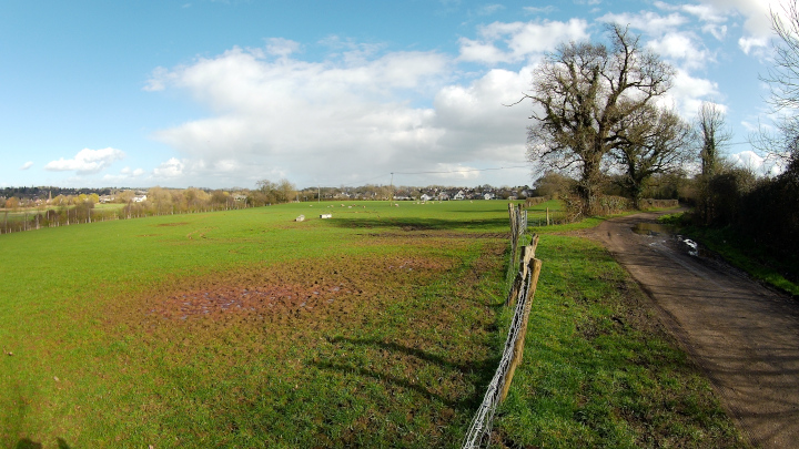 Field near Oakley