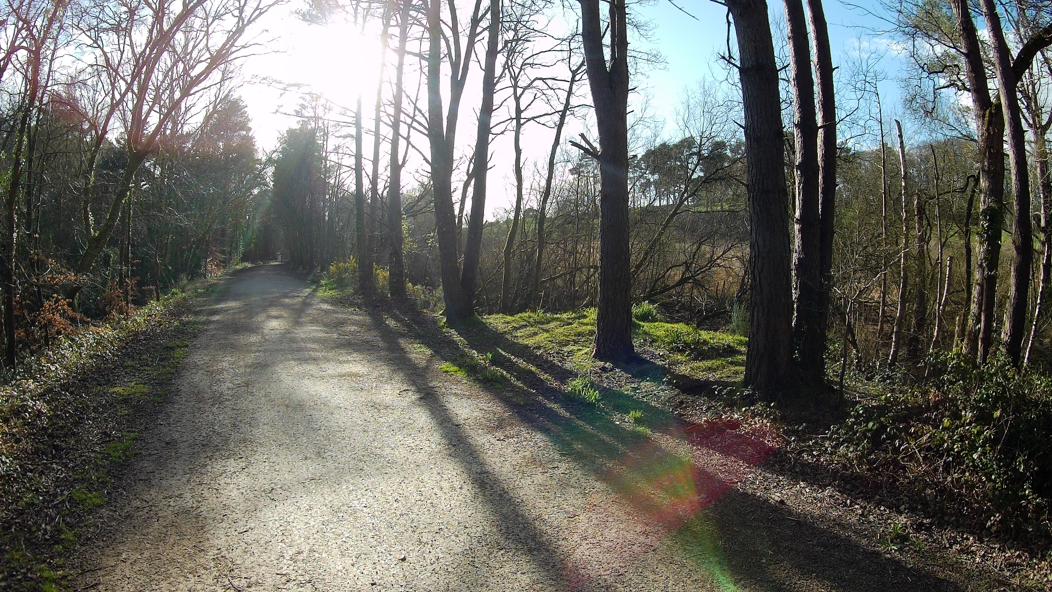 The Castleman Trailway near Broadstone Golf Course