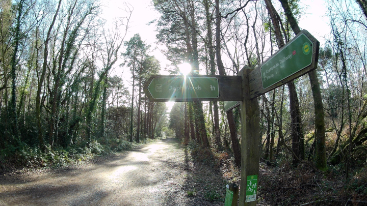 Signpost on the Castleman Trailway