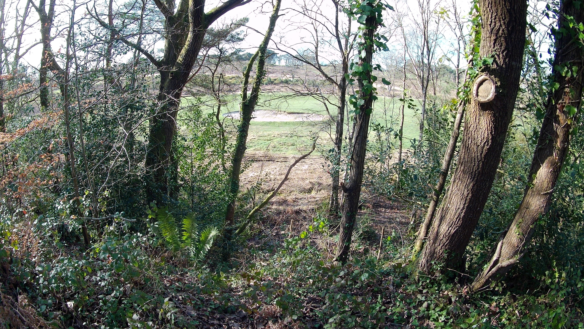 Broadstone Golf Course